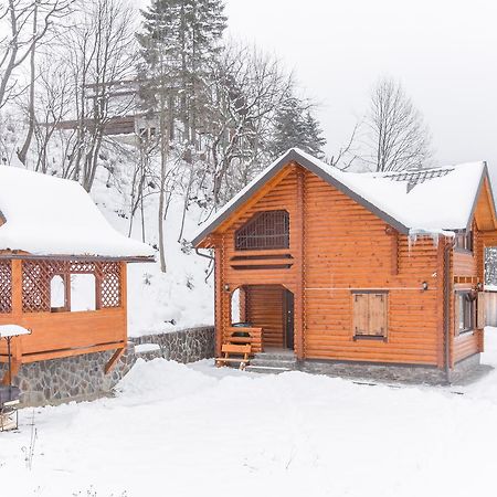 Cottage Goyra Γιαρέμτσε Εξωτερικό φωτογραφία