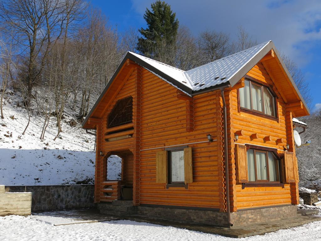 Cottage Goyra Γιαρέμτσε Εξωτερικό φωτογραφία