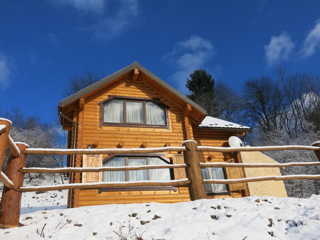 Cottage Goyra Γιαρέμτσε Εξωτερικό φωτογραφία