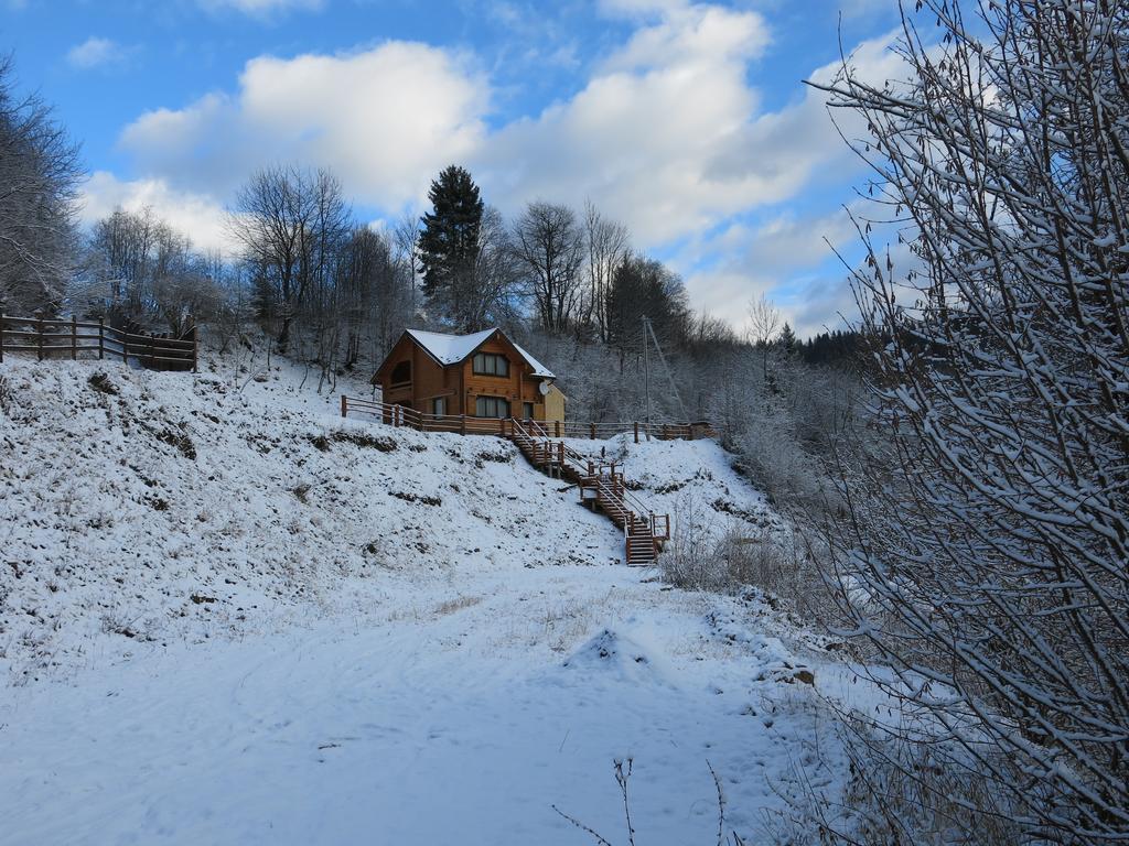 Cottage Goyra Γιαρέμτσε Εξωτερικό φωτογραφία